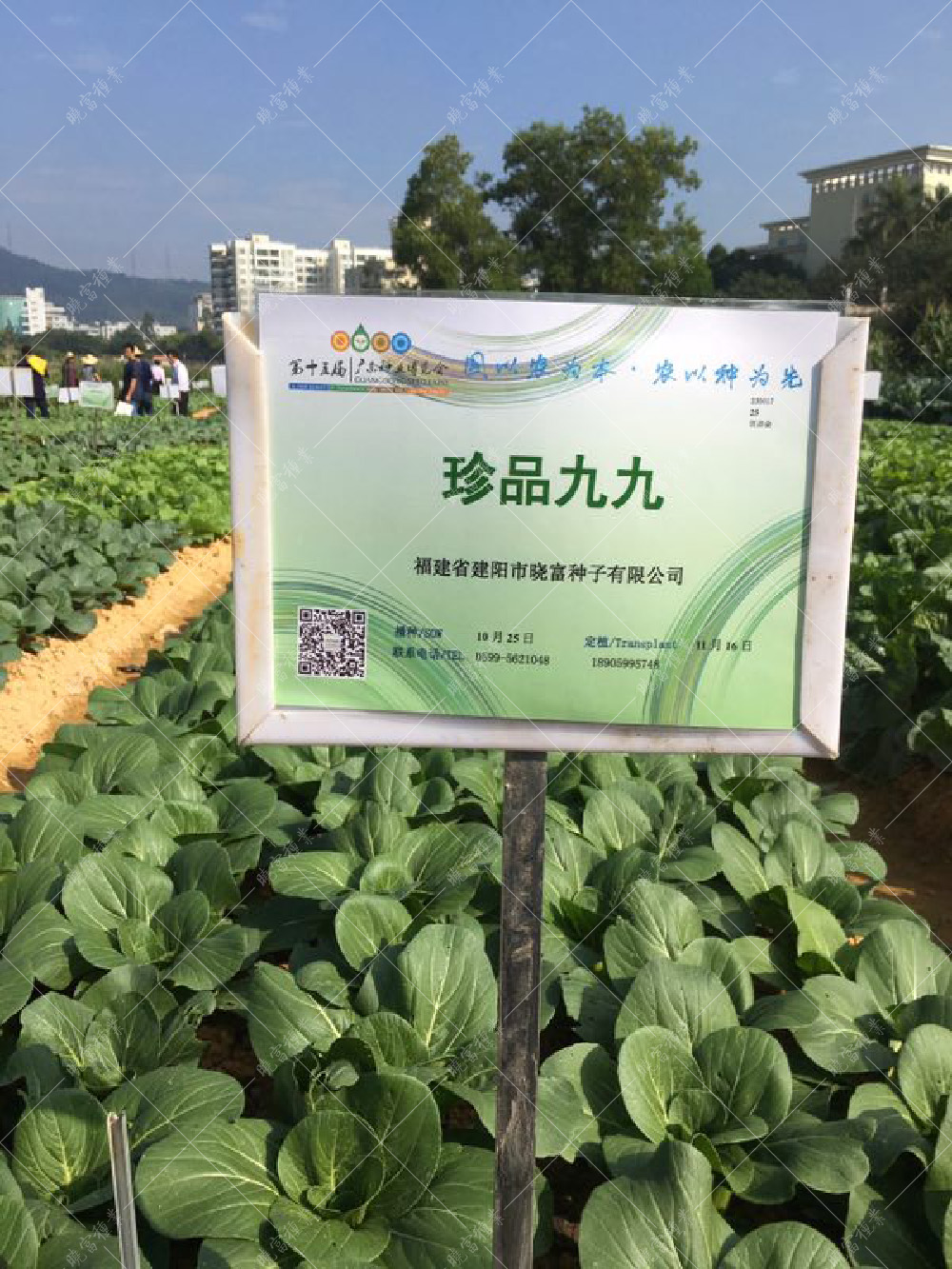 1557817299423043.jpg 微信圖片_20171113170203.jpg