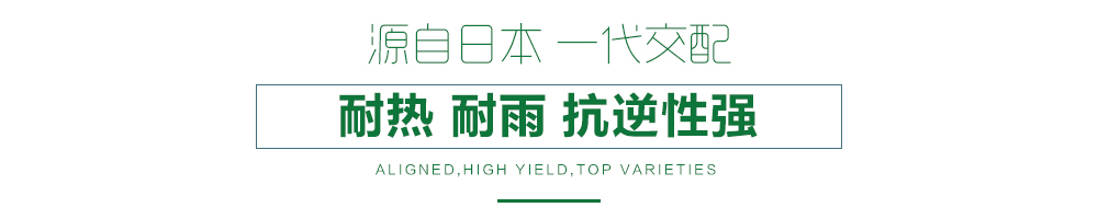 1557817317580706.jpg 詳情頁(yè)11.jpg