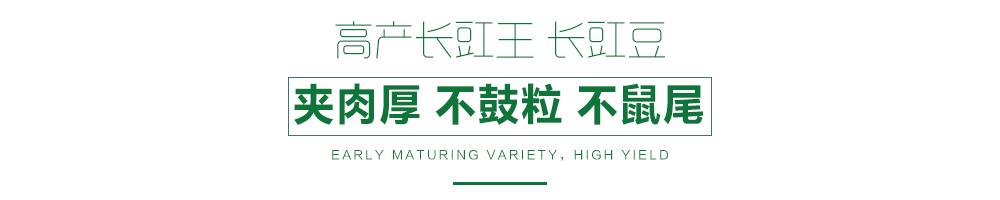 1557970074386646.jpg 詳情頁.jpg