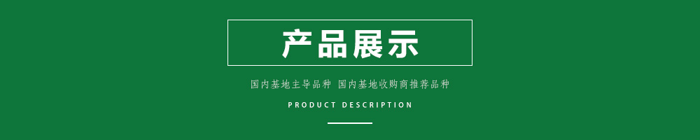 1558575807843496.jpg 00新產(chǎn)品.jpg