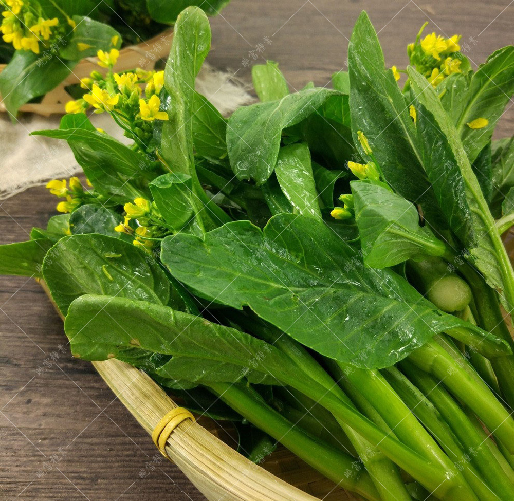 1558577969407718.jpg 0012025084739931_b.jpg