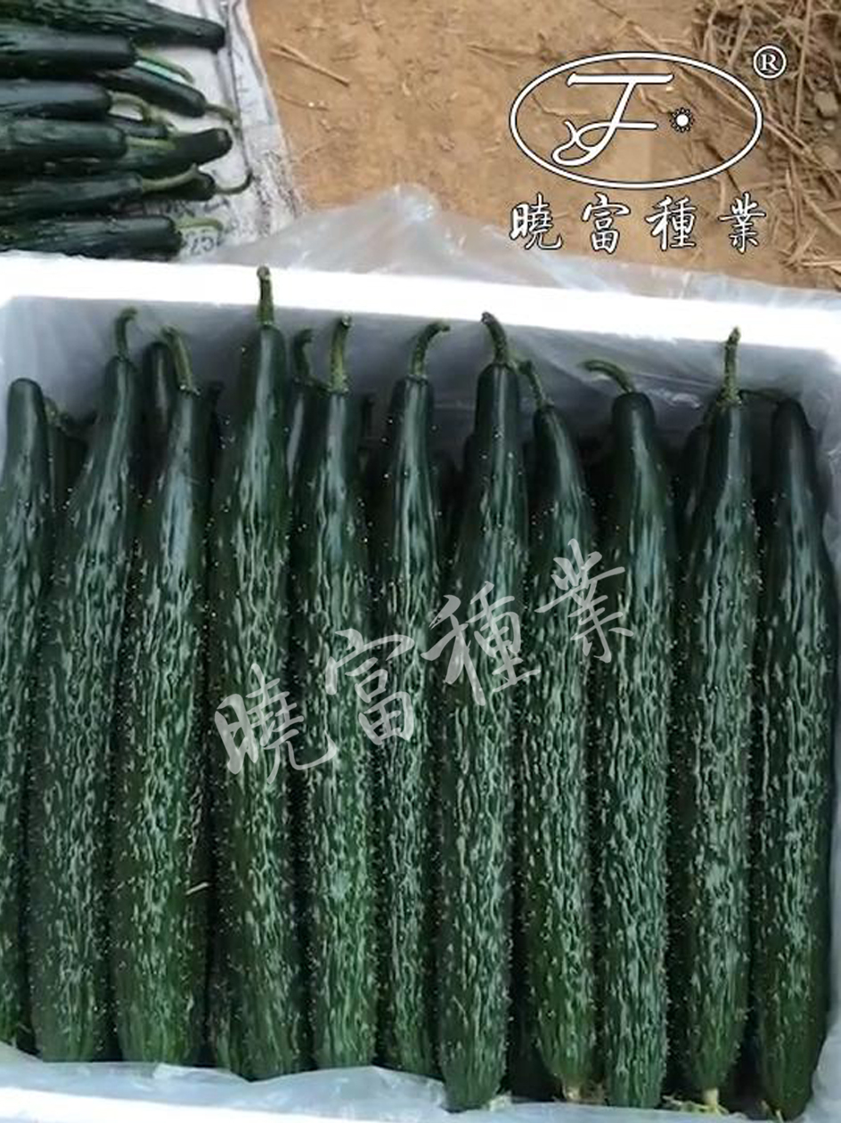 1585989908666555.jpg 08.jpg