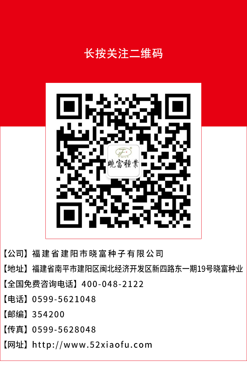 1600248657265081.jpg 頁底.jpg